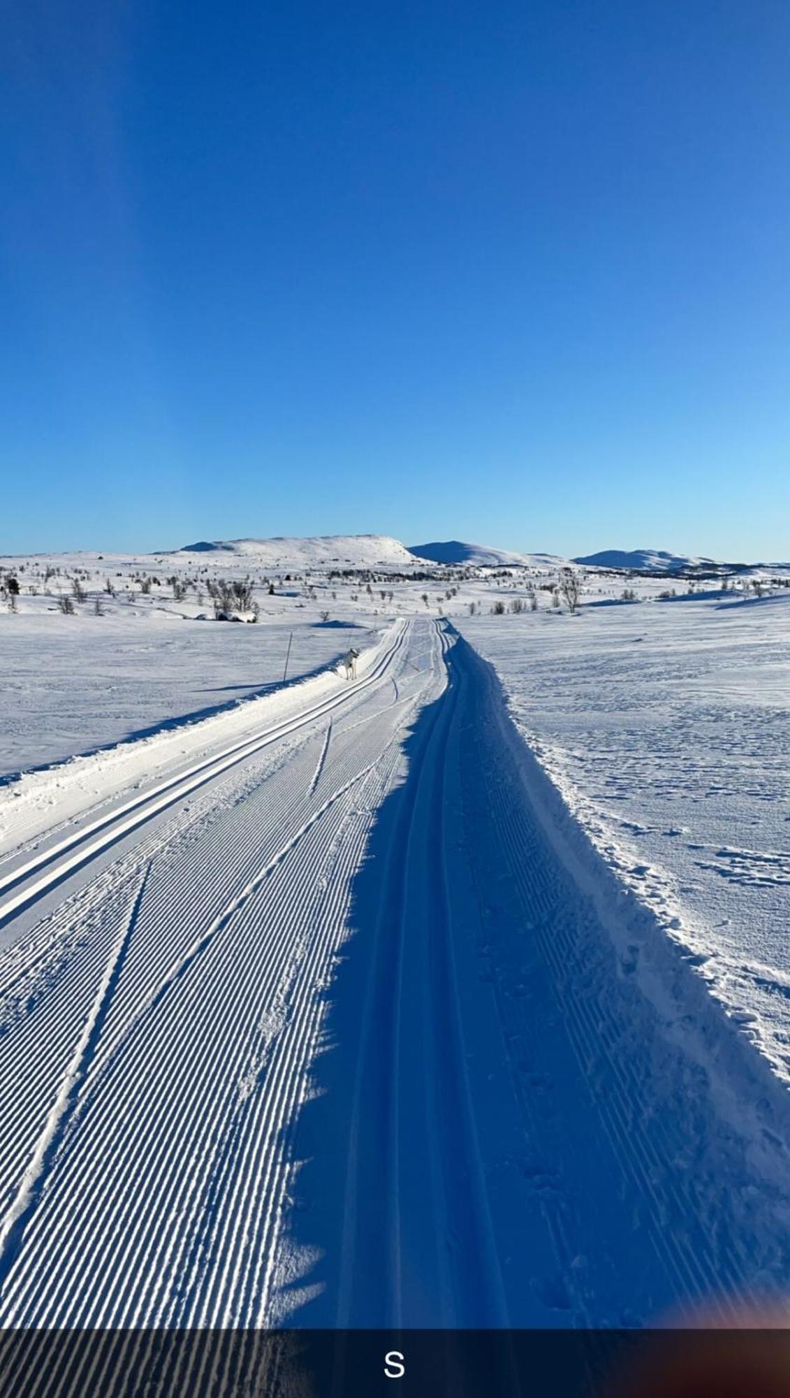 Comfortable Apartment Just Steps From Skiing, Dining, And Outdoor Fun Beitostolen Eksteriør billede